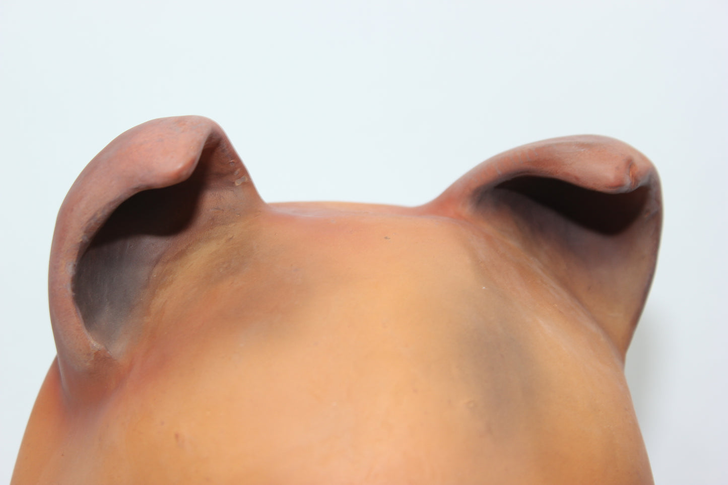 Brown Painted Rubber Bear Dog Mask - Moulded Full Head