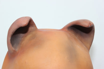 Brown Painted Rubber Bear Dog Mask - Moulded Full Head