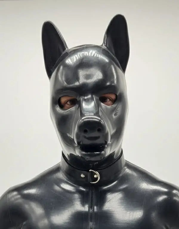 Extra Thick Heavy-Duty K9 Puppy Hood (includes Padlock Collar)
