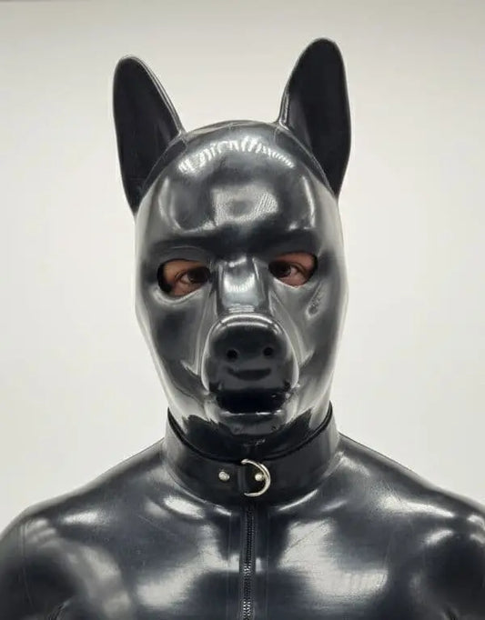 Extra Thick Heavy-Duty K9 Puppy Hood (includes Padlock Collar)