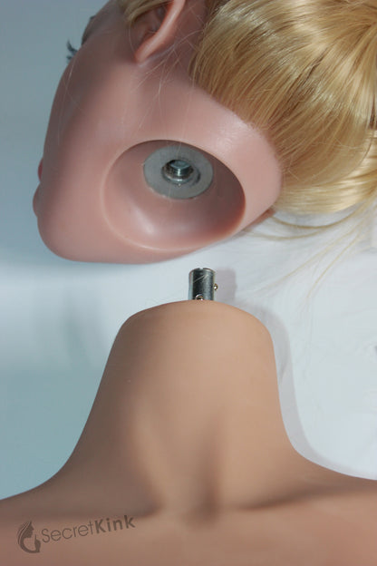 Lifesize 17kg TPE Torso Body (Head Ready)