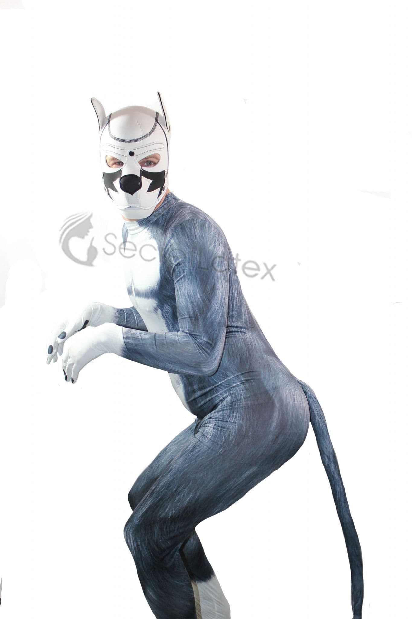Two Tone Spandex Puppy Play Full Body Suit